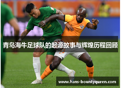 青岛海牛足球队的起源故事与辉煌历程回顾