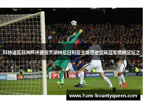 科特迪瓦非洲杯决赛惊天逆转尼日利亚主场奇迹加冕冠军震撼足坛之